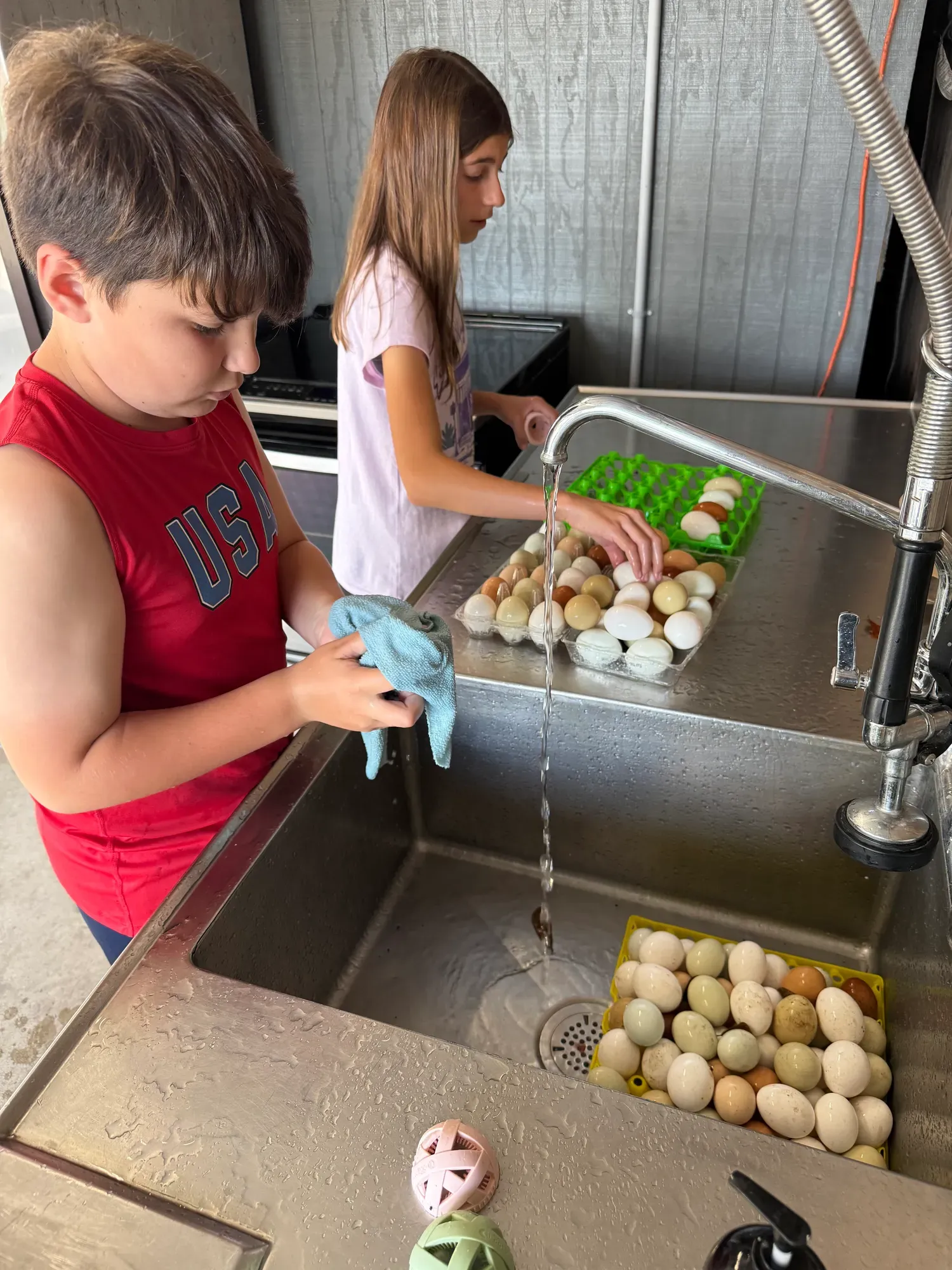 Children exploring the farm