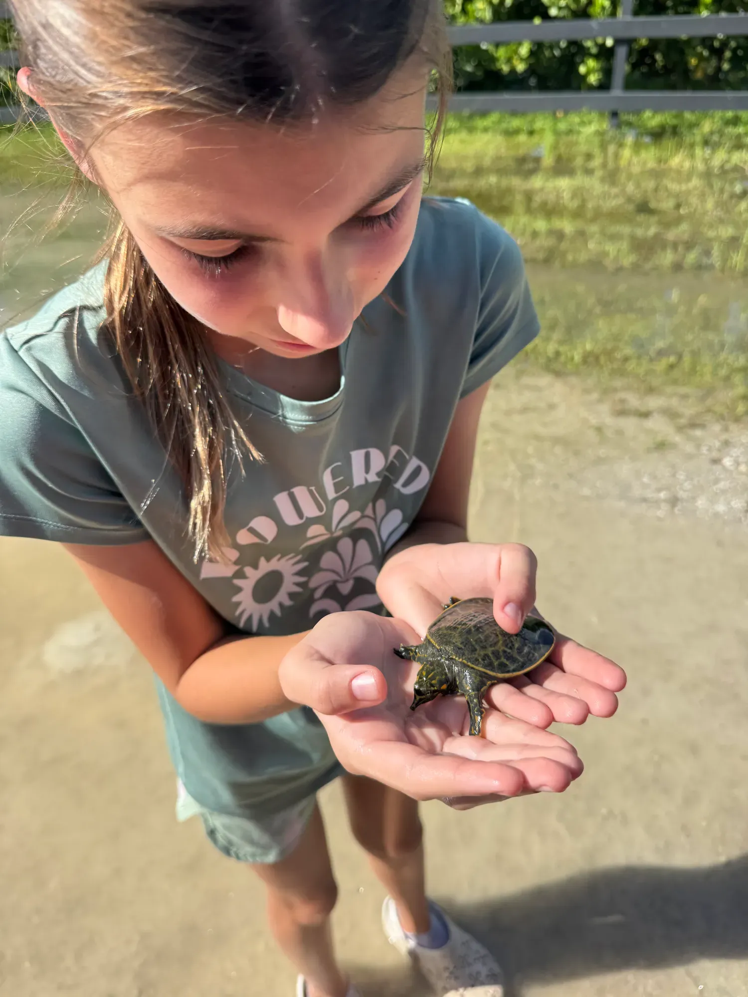 Caring for animals on the farm